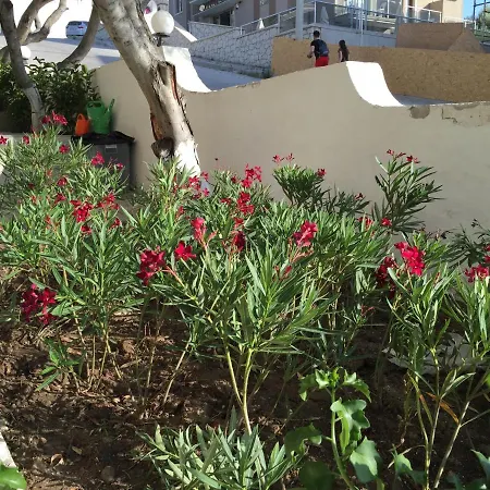 奇赛特公寓酒店